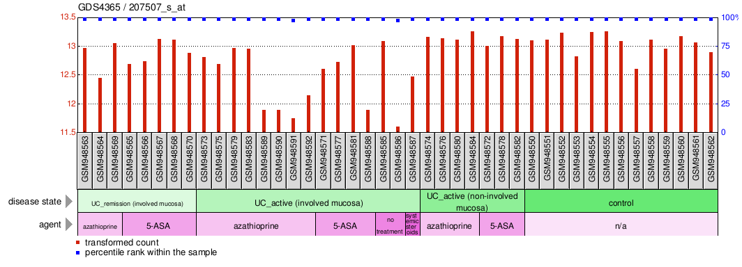 Gene Expression Profile