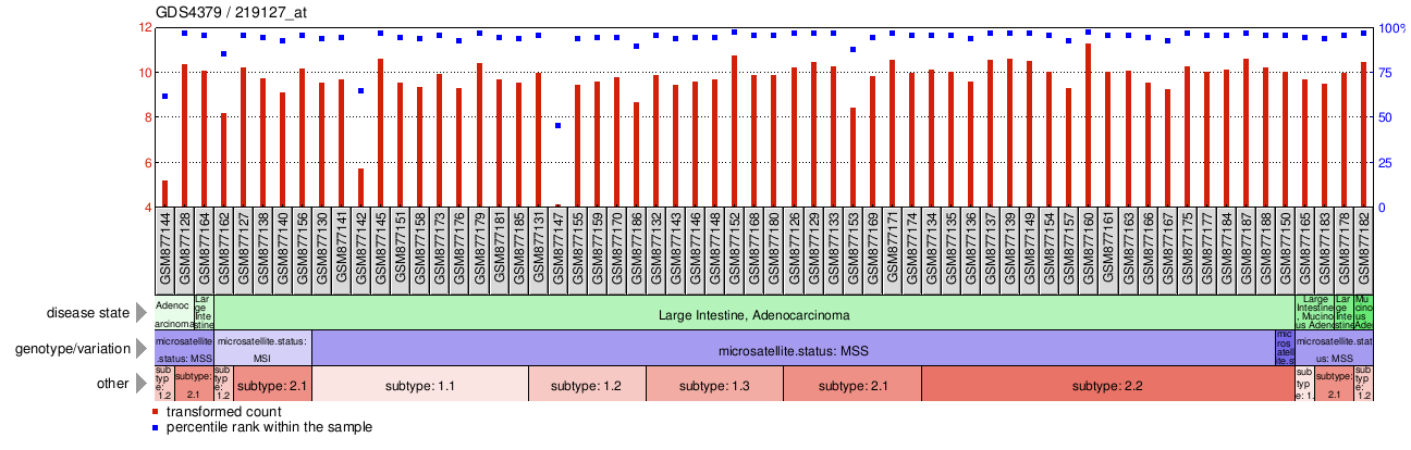 Gene Expression Profile