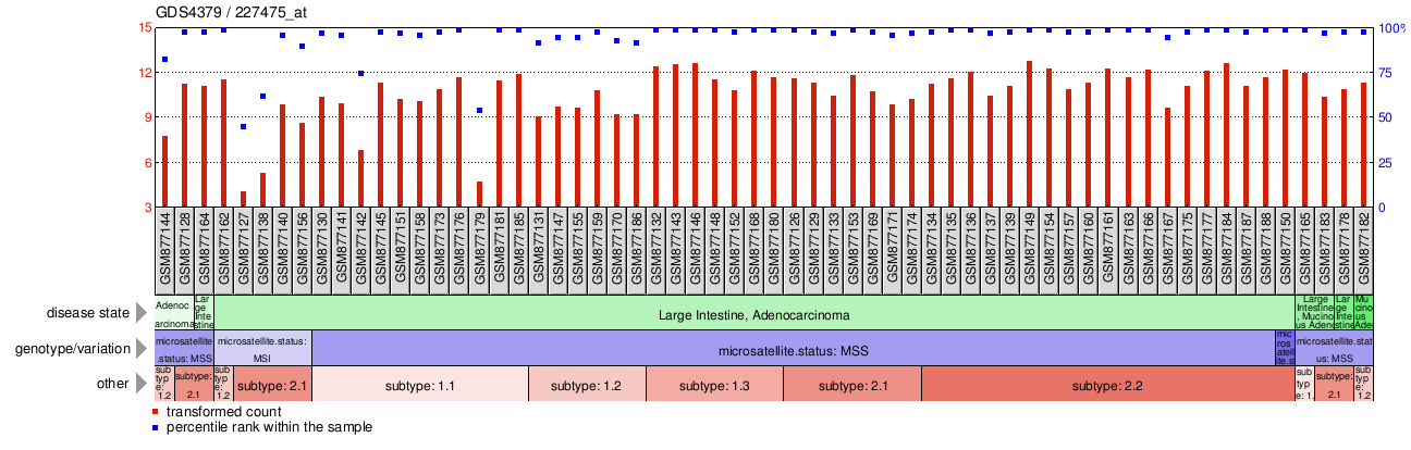 Gene Expression Profile