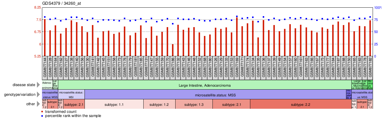 Gene Expression Profile