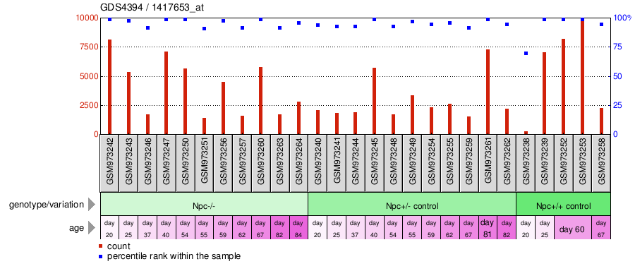 Gene Expression Profile