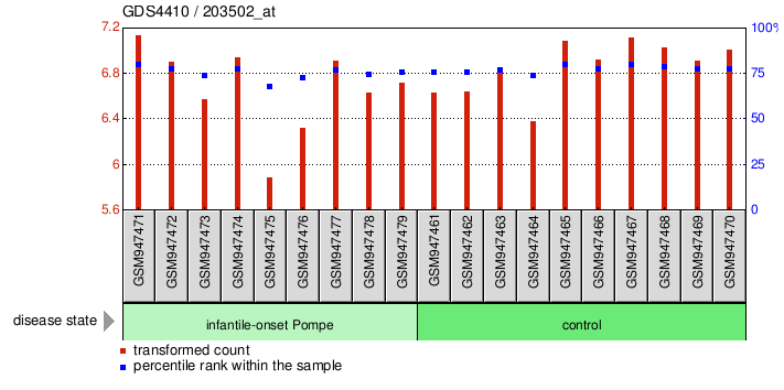 Gene Expression Profile