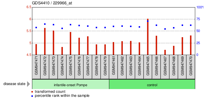 Gene Expression Profile