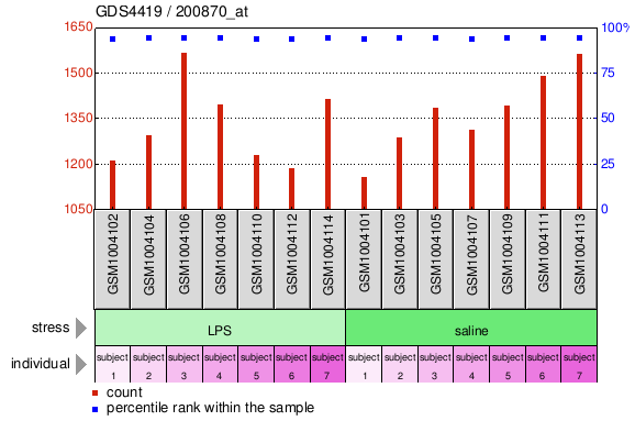 Gene Expression Profile