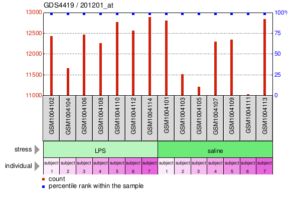 Gene Expression Profile