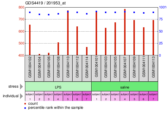 Gene Expression Profile