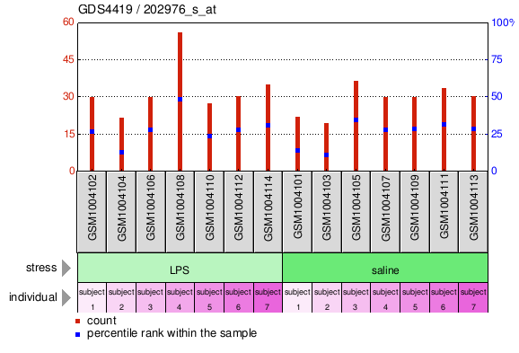 Gene Expression Profile