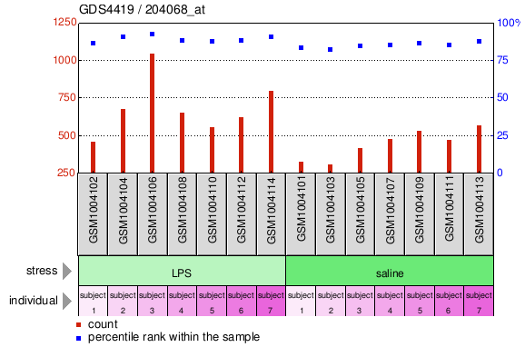 Gene Expression Profile