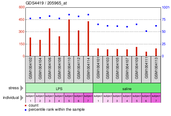 Gene Expression Profile