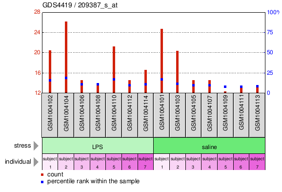 Gene Expression Profile