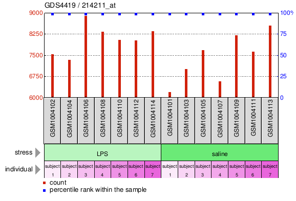 Gene Expression Profile