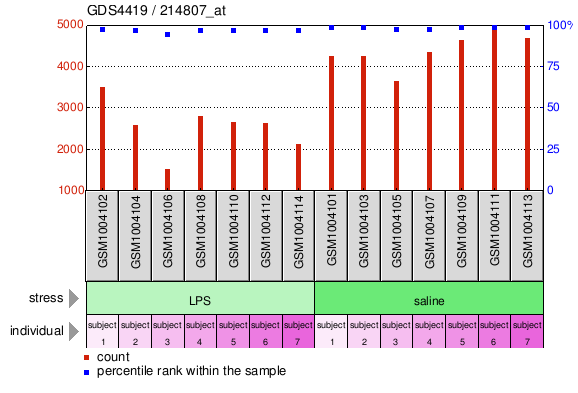 Gene Expression Profile