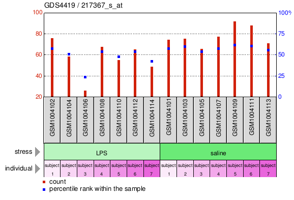 Gene Expression Profile