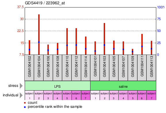 Gene Expression Profile