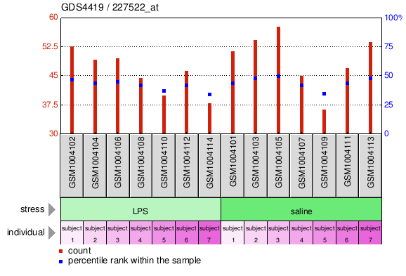 Gene Expression Profile