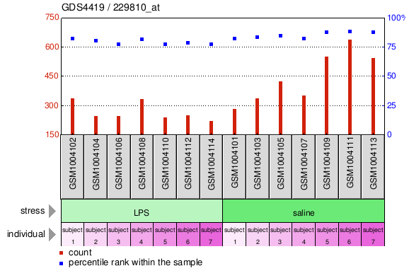 Gene Expression Profile