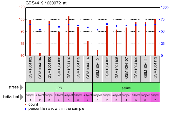 Gene Expression Profile