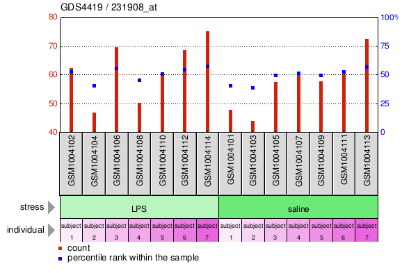 Gene Expression Profile