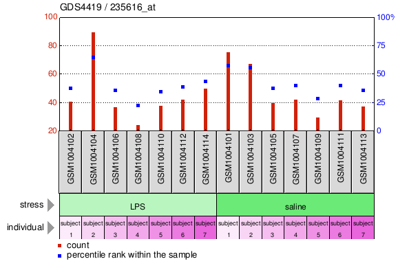 Gene Expression Profile