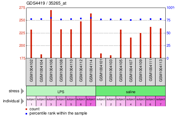 Gene Expression Profile