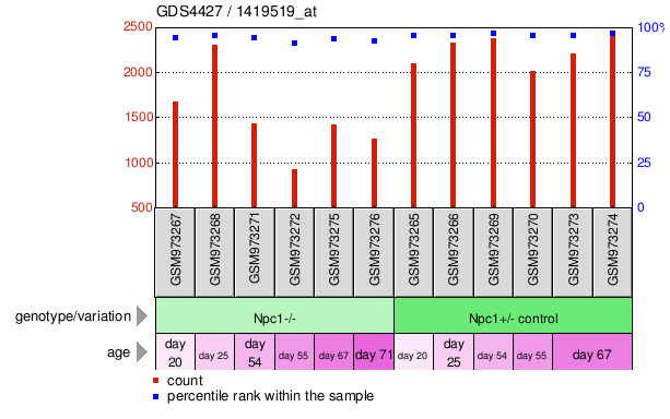 Gene Expression Profile