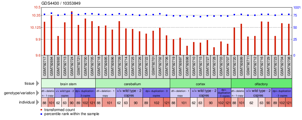 Gene Expression Profile