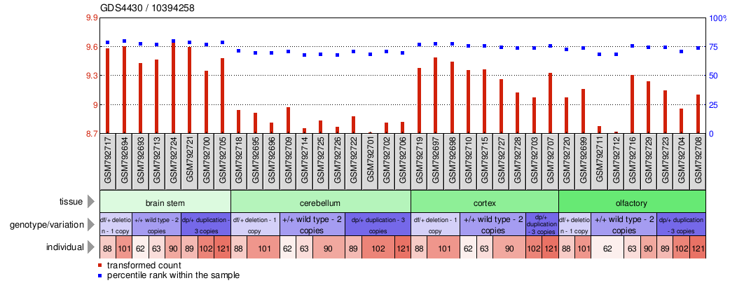 Gene Expression Profile