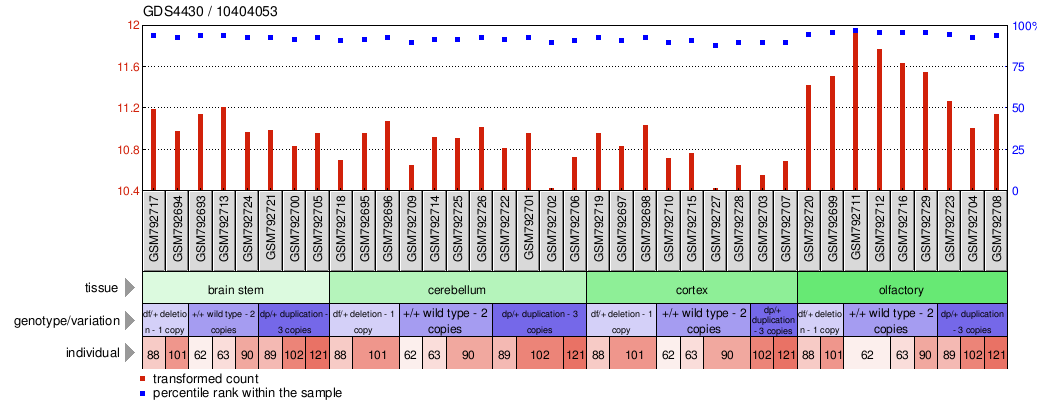 Gene Expression Profile