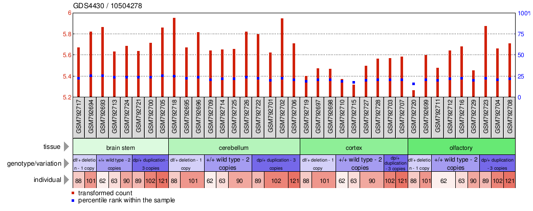 Gene Expression Profile