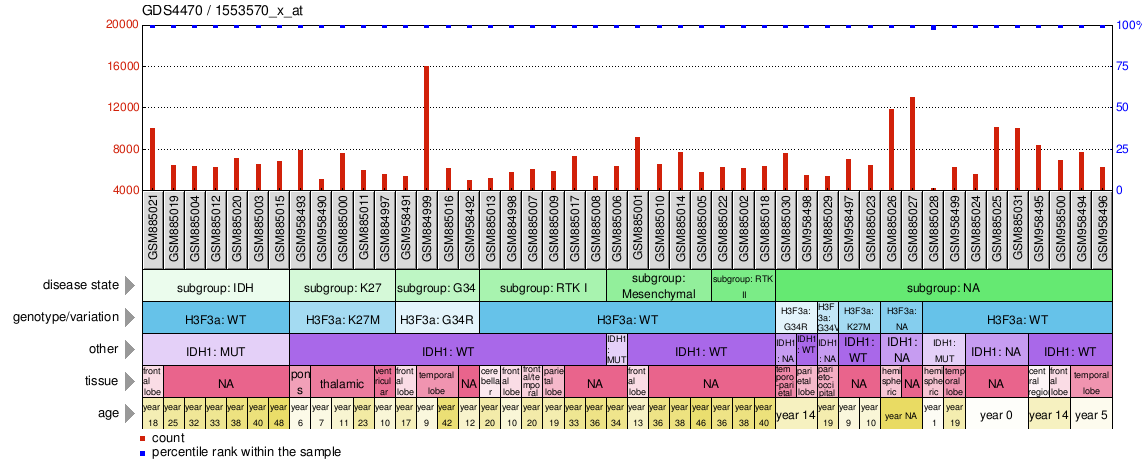 Gene Expression Profile