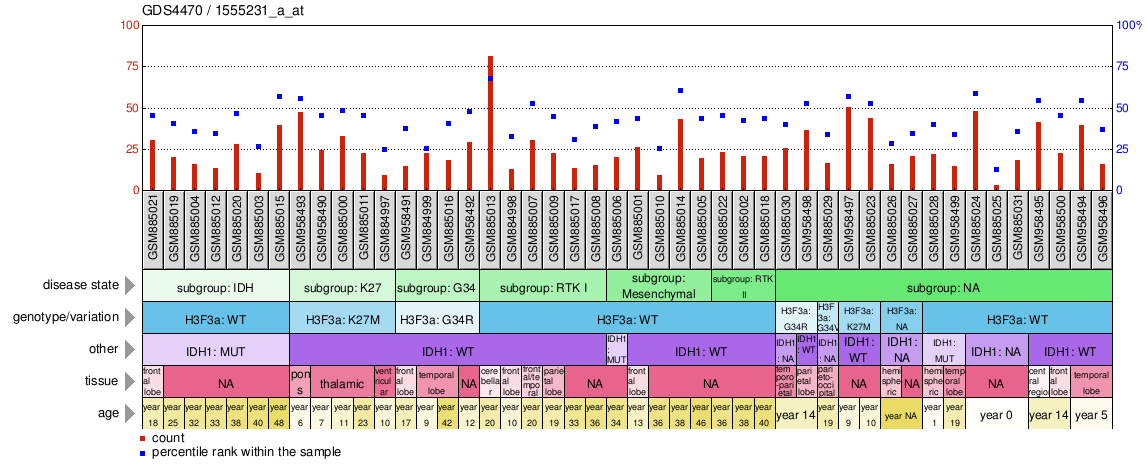 Gene Expression Profile