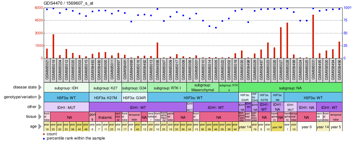 Gene Expression Profile