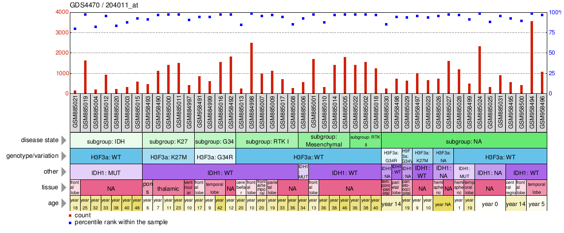 Gene Expression Profile