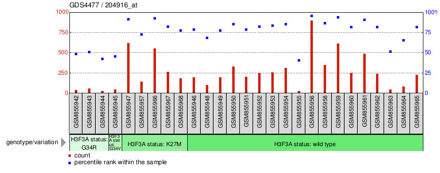 Gene Expression Profile