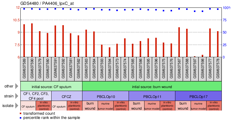 Gene Expression Profile