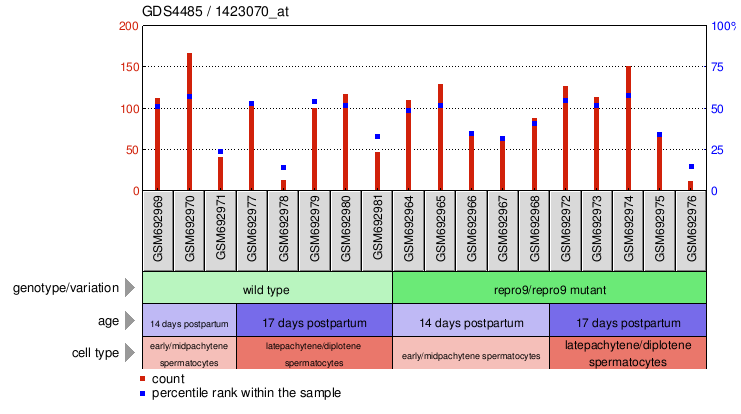 Gene Expression Profile