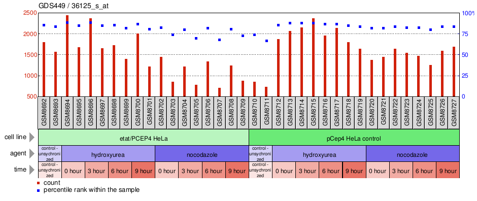 Gene Expression Profile