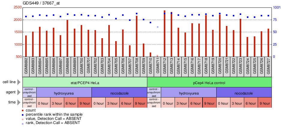 Gene Expression Profile