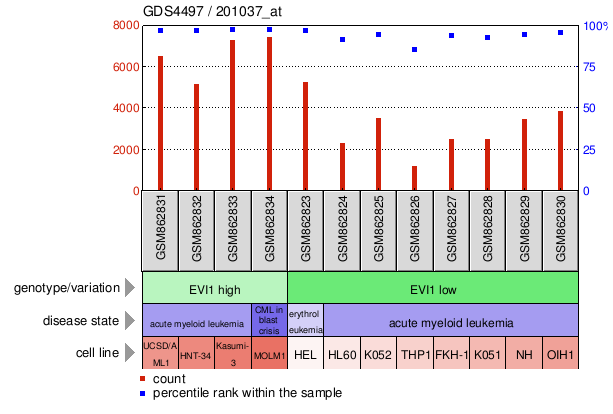 Gene Expression Profile