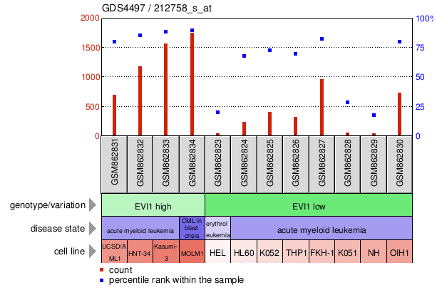 Gene Expression Profile