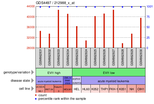 Gene Expression Profile