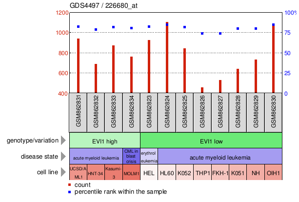 Gene Expression Profile