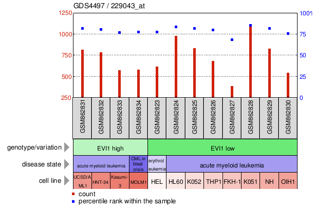 Gene Expression Profile