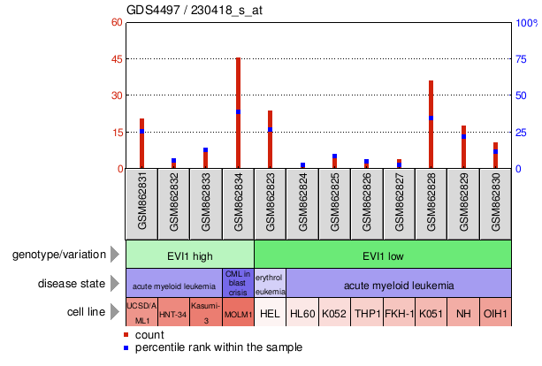 Gene Expression Profile