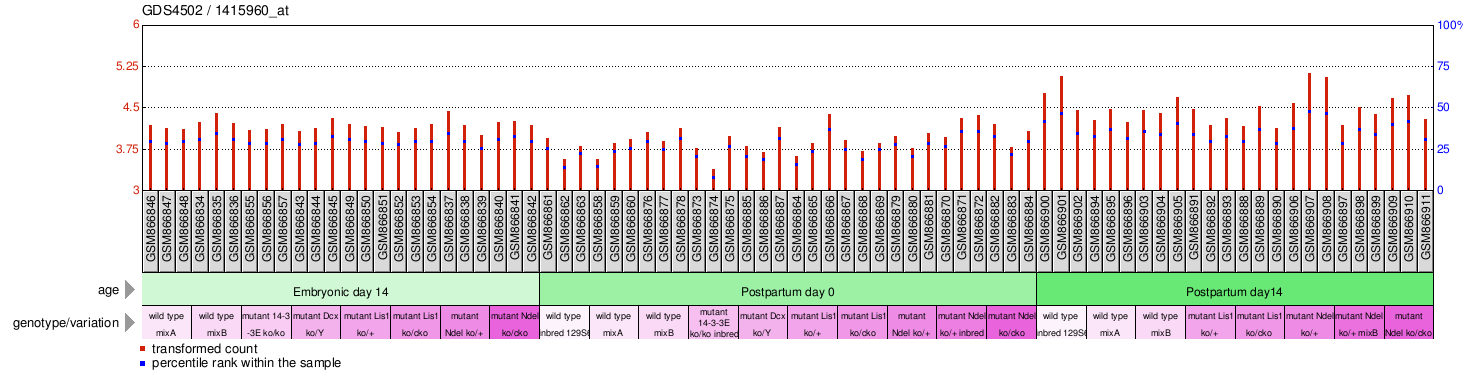 Gene Expression Profile