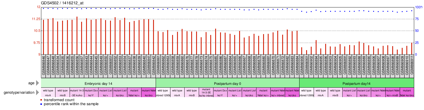 Gene Expression Profile