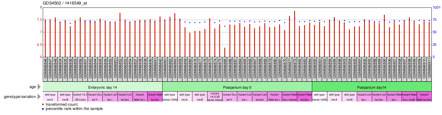 Gene Expression Profile