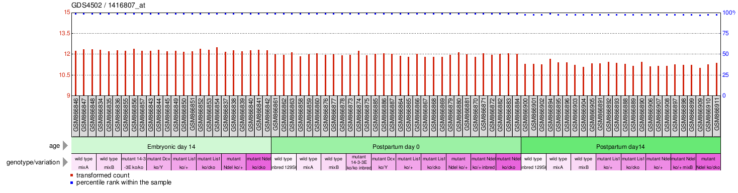 Gene Expression Profile