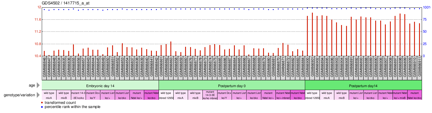 Gene Expression Profile