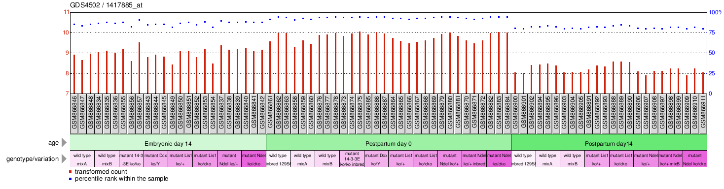 Gene Expression Profile